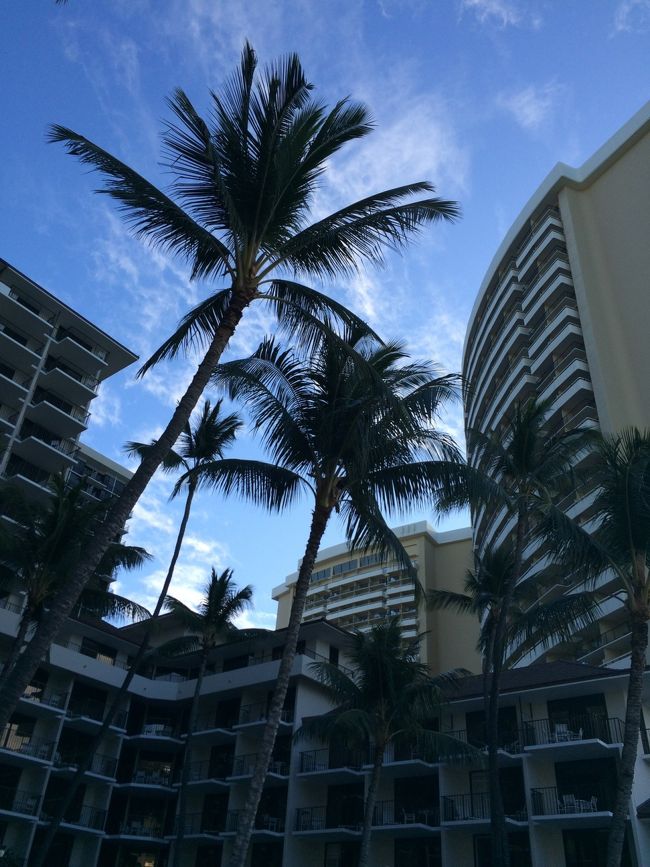 シェラトンの真裏なのに、初めてきたんだよねぇ〜<br /><br />雰囲気がとっても良くてやっぱり良いホテル。