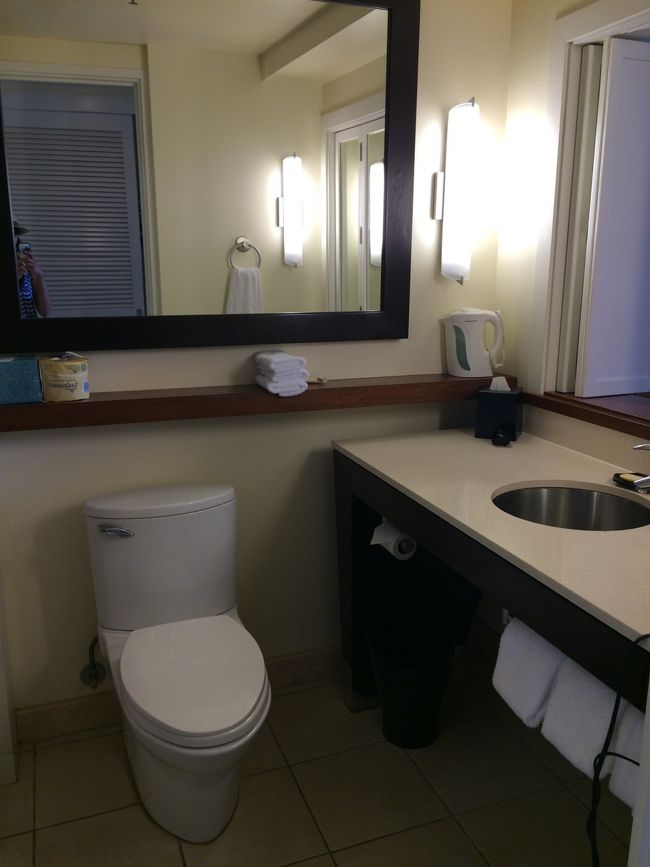 お部屋のバスルームはこんな感じ。