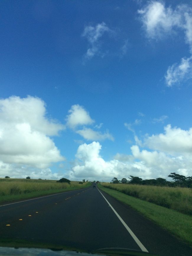 この風景久々〜<br /><br />ノースの方へ続く道。<br />のどかな雰囲気でこの辺も好きだな〜<br />