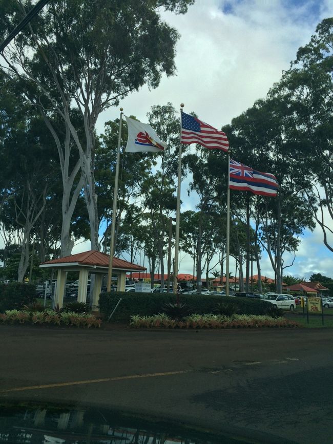 ようやく見えてきました！