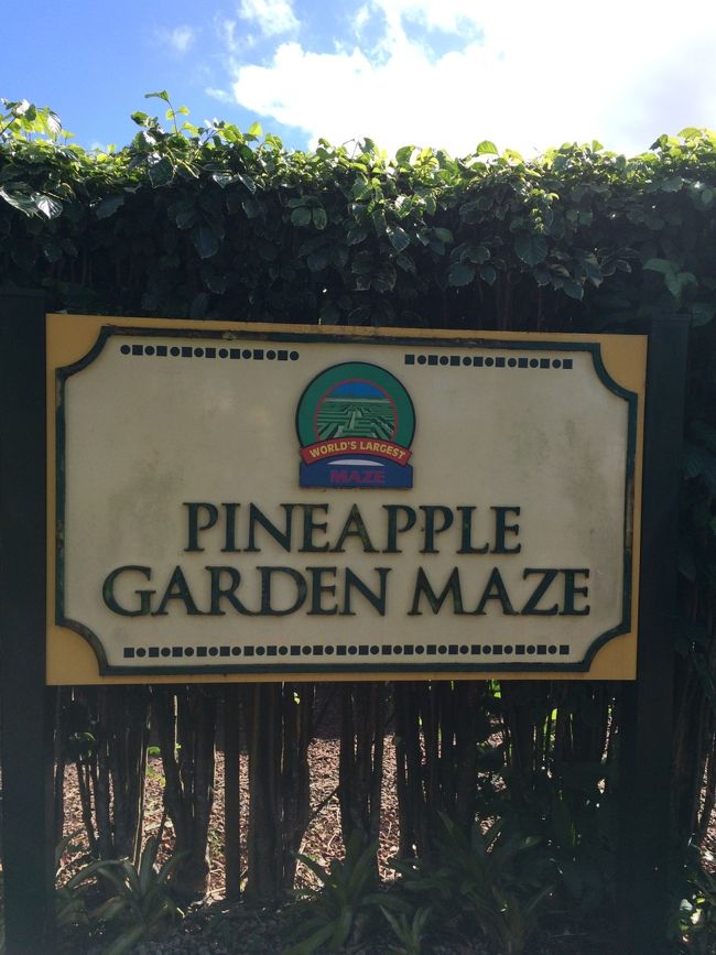 娘がどうしてもやりたいと言っていたもの。