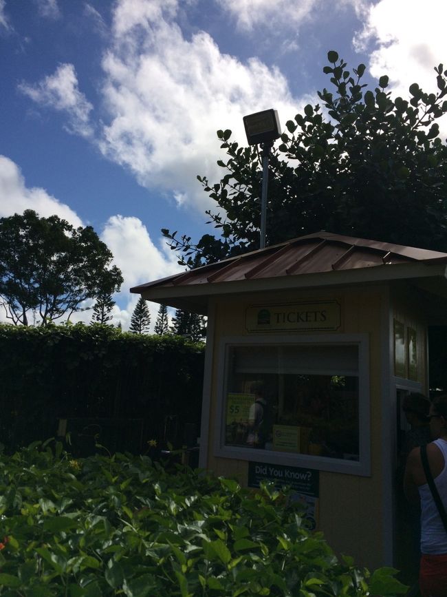 ここでチケットを買います。<br />少し並んで、、