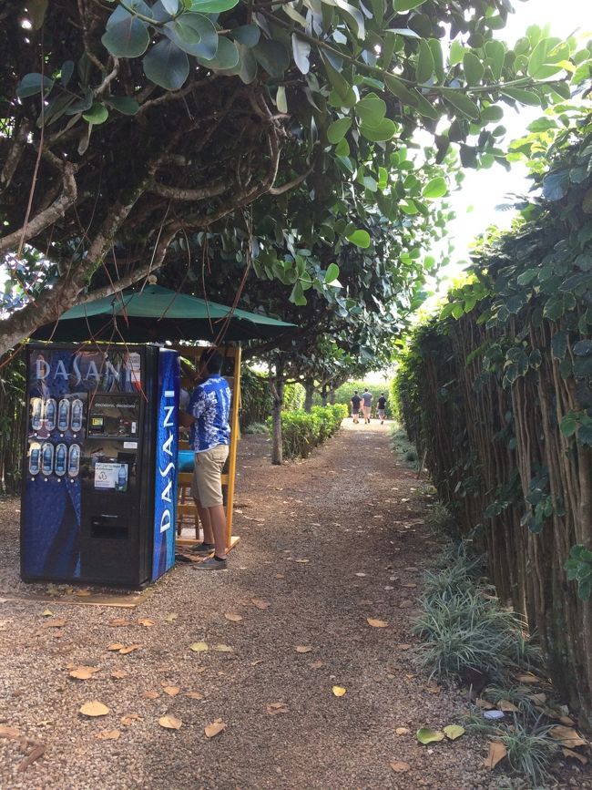 巨大迷路のSTART〜！！