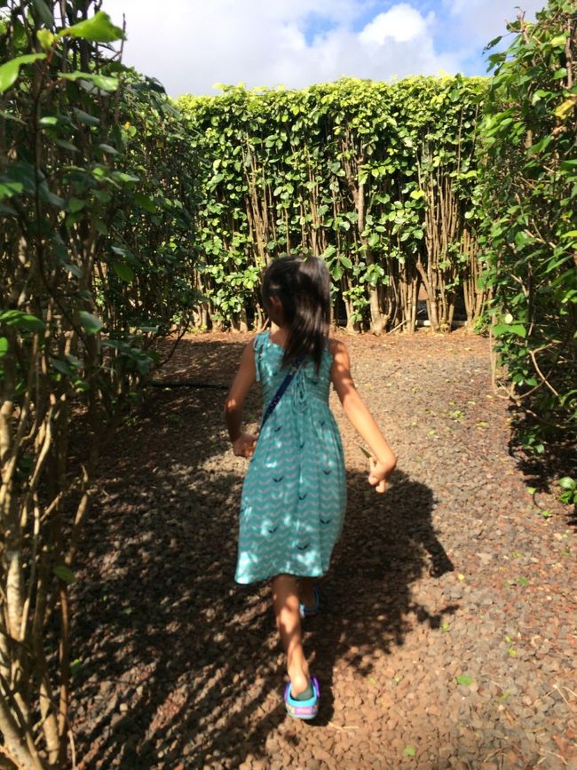 ２つ目がなかなか見つからない〜<br /><br />そして！暑い！バテそう、、