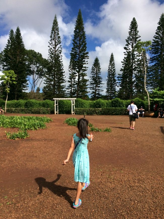 パパの野生の勘を頼りに、、