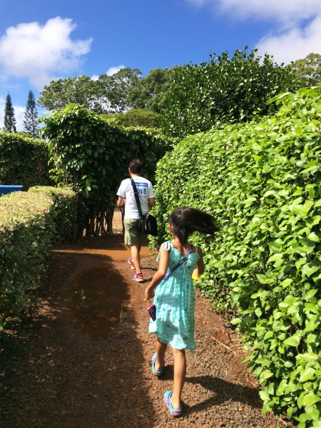 ついにあと1つ！<br /><br />普段は方向音痴全開のパパ。。<br />ホテルの場所も真逆を言うとか、、とにかく方向感覚があまりいいとは言えない。。笑<br /><br />でも、この野生の勘恐るべし！笑<br /><br />後半かなりの速さで見つかりました！笑