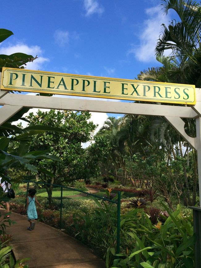 お次はこれこれ。