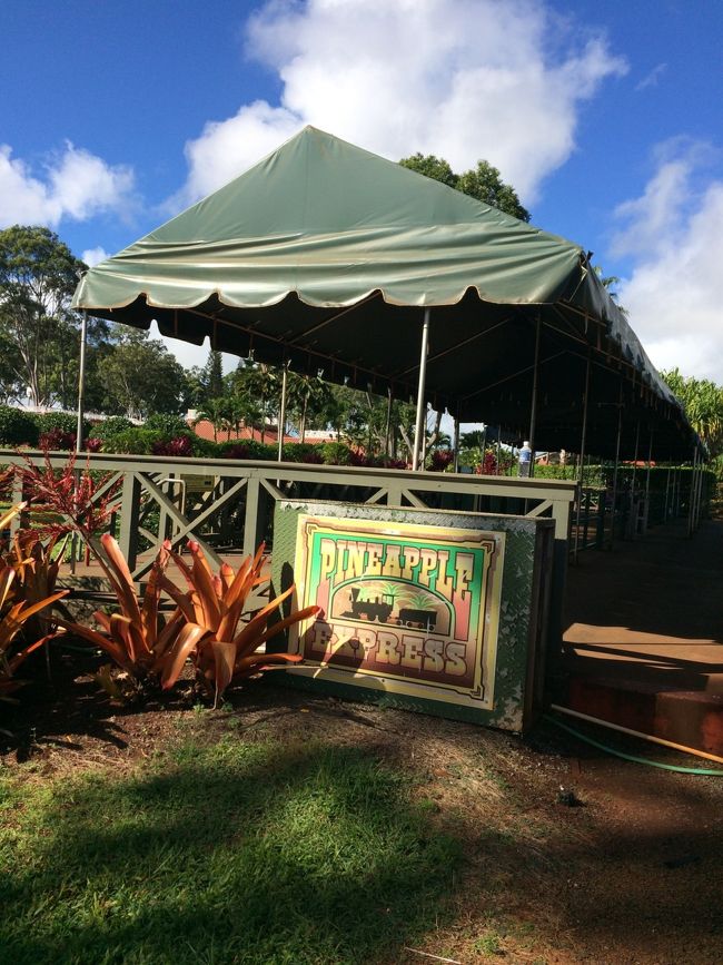 20分程乗り、、<br />帰りはここで下車です。<br /><br />マズイ。飛行機の時間が、、<br />