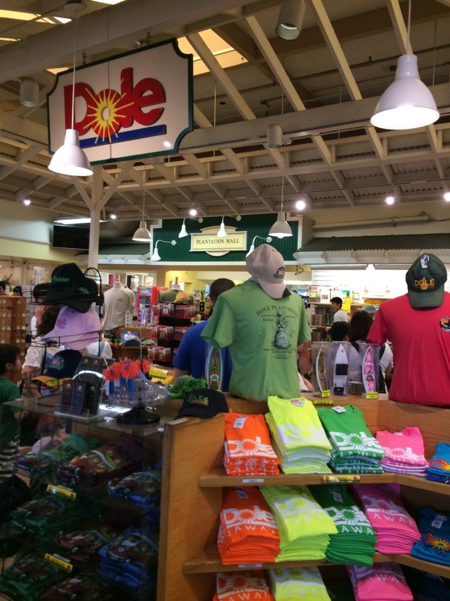 どうしても食べたいと言う、パイナップルソフトに並んでいる間に、、<br />買い物タイム5分！