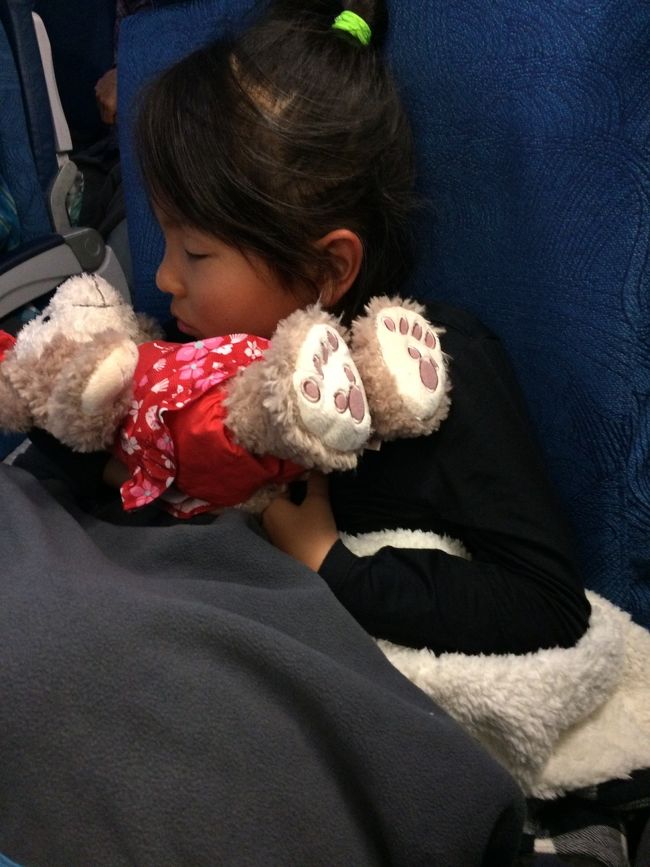 散々アニメを見て、そろそろ疲れたらしい、、