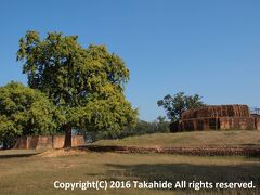クダン(Kudan)

釈迦(गौतम बुद्ध)が成道して初めて帰城した際に父シュッドーダナ(सुद्धोदन (Śuddhodana))と会ったとされる場所です。