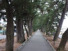 参拝を終え、「神の道」なる神秘的な道を通って三保松原に向かいます。