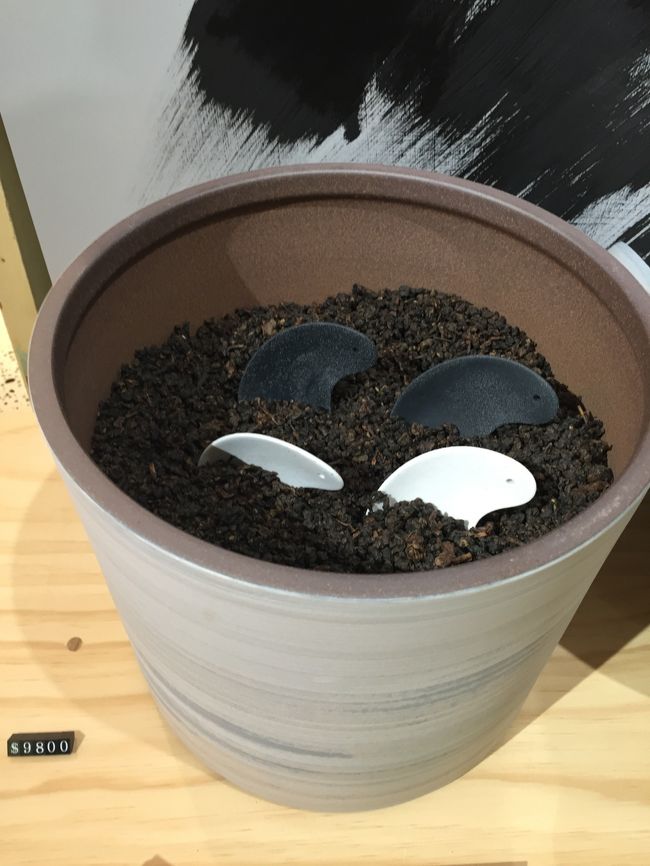 このように茶葉を売っています