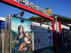 今回の展示ではレオナルド・ダ・ヴィンチの傑作「糸巻きの聖母」が日本初公開です。
