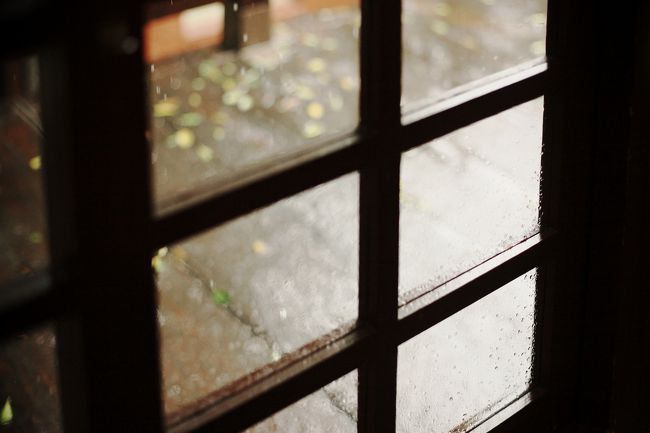 あったかい場所で、あったかいお茶を飲みながら、外の雨を眺めるのもおつなものです。