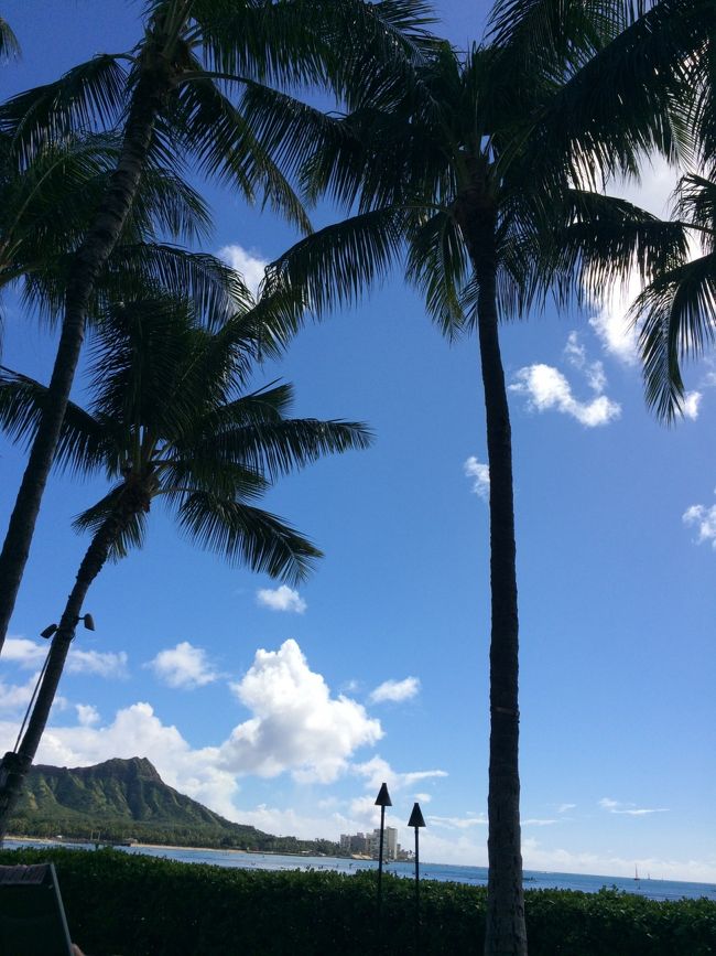 最後に...<br /><br />かなり長い旅日記、最後まで読んでくれた方、そして見ず知らずの私にまでイイね！してくれた方々ありがとうございました。<br />きっと、我が家と同じ様にHawaiiがとっても好きなんだろうと思います。<br /><br />これからHawaiiへ行かれる方、私の旅日記で少しでも旅の参考になれば...<br />これを書いた甲斐があります。笑<br /><br />Mahalo！！！