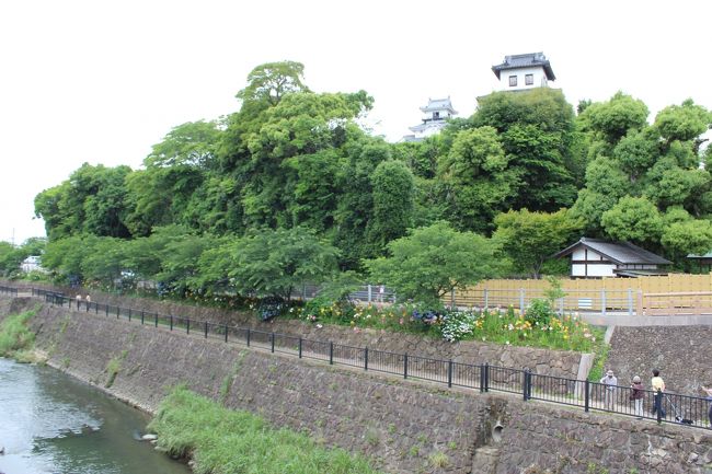城下町から見た掛川城の姿。