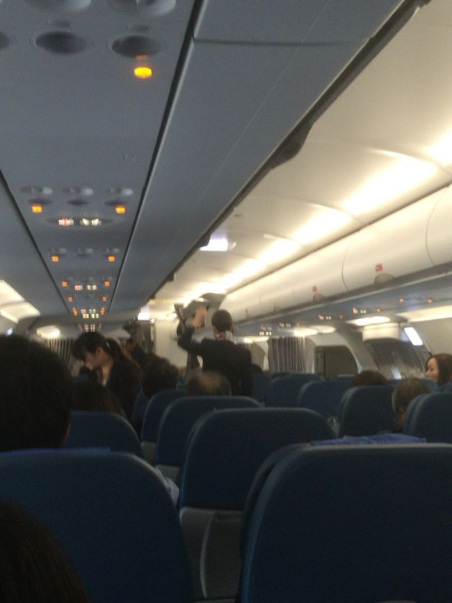 フィリピン航空w