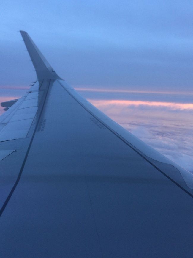 機内からの夕焼け