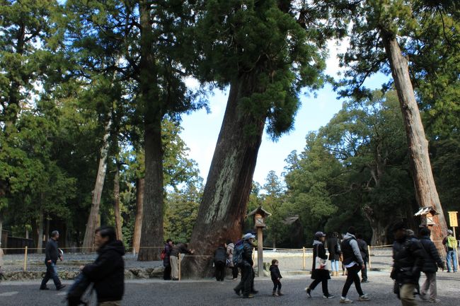 今にも倒れそう。