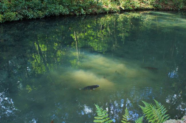 戻るとき、右手に川があって。<br /><br />神秘的でした。