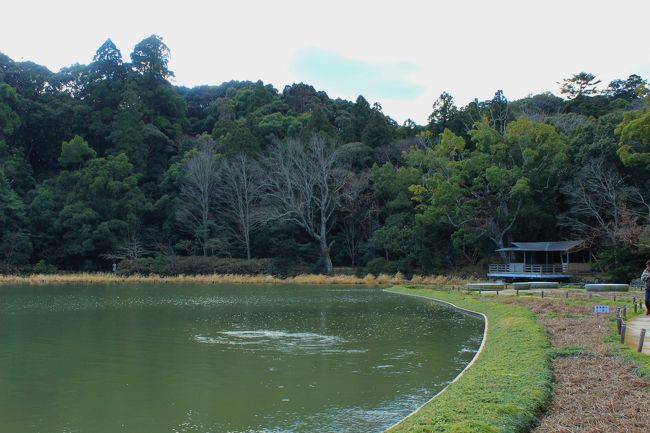  勾玉池<br /><br />まが玉の形の池