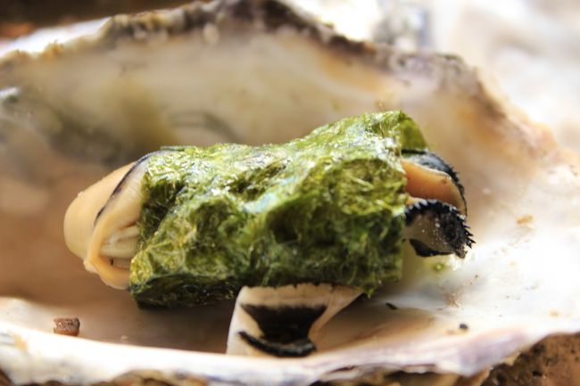 味付け海苔、これもいいね。