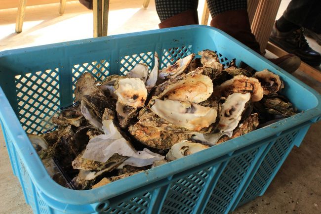 男性１人を含む４人で食べた、牡蛎の殻の山です(^^ゞ