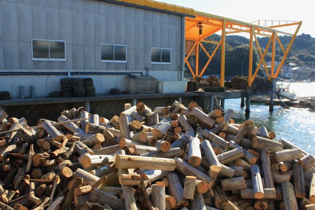 マキの山です。