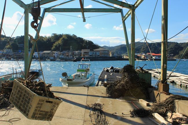 裏手に回ってみたら。