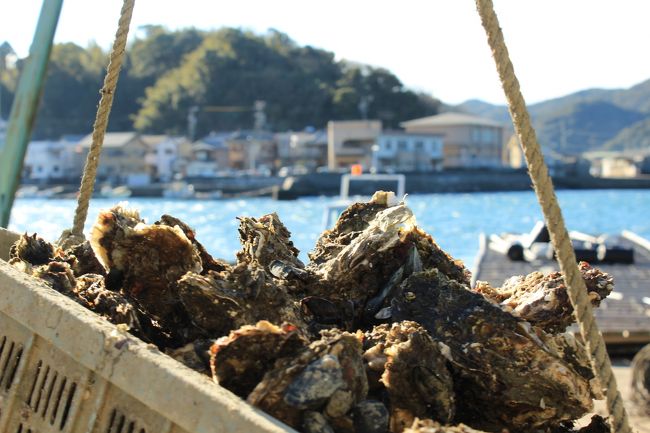 牡蛎が入ってました。