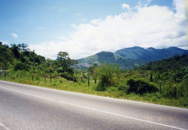 自然がいっぱい。