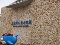周りながらのんびりして
途中スーパーでお土産も探して
ようやく美ら海水族館。