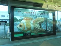 途中の長洲駅。大きな金魚のオブジェがありました。
九州金魚すくい選手権大会、という気になるイベントの表記がありました。
