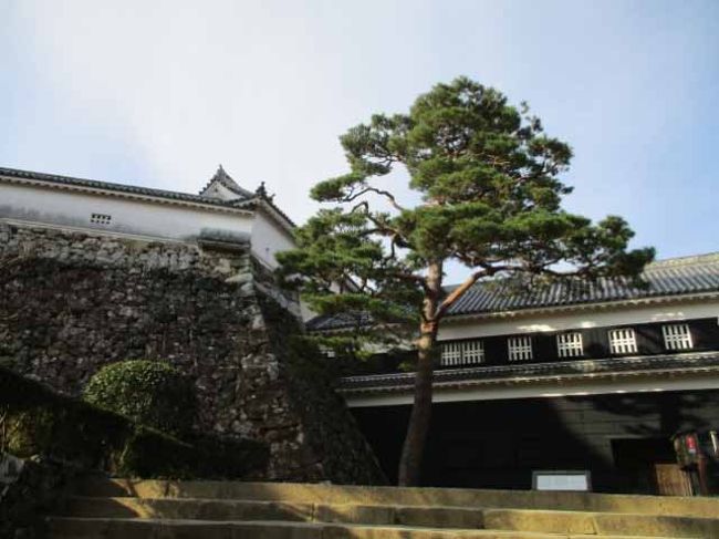 黒い壁と白い壁と石垣と松