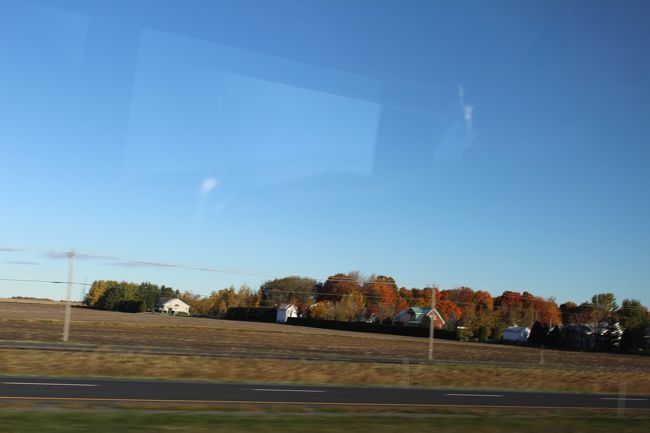 本日も真っ青な青空の下を移動の開始です。