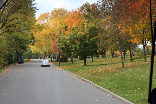 戦場公園内をバスで移動<br /><br />英仏戦争の激戦地という歴史的な場所であると同時に、市民の憩いの場ともなっている広大な公園。世界の権威ある公園の中では「アブラハム平原」の名で知られる。当時の見張り台やバスチョン、砲台などが残されているそうです。<br /><br />