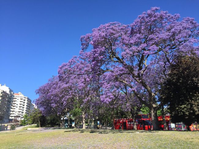 天気もよく気持ちのいい朝です。
