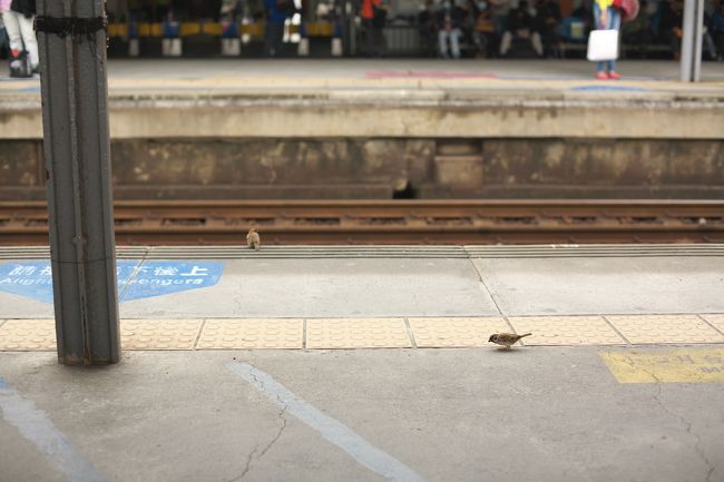 旅の終わりの空港に向かう風景というのは、何か、寂しいような、満ち足りたような、何とも言えない気持ちになります。