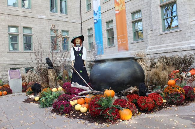 なかなか凝った飾りつけも！