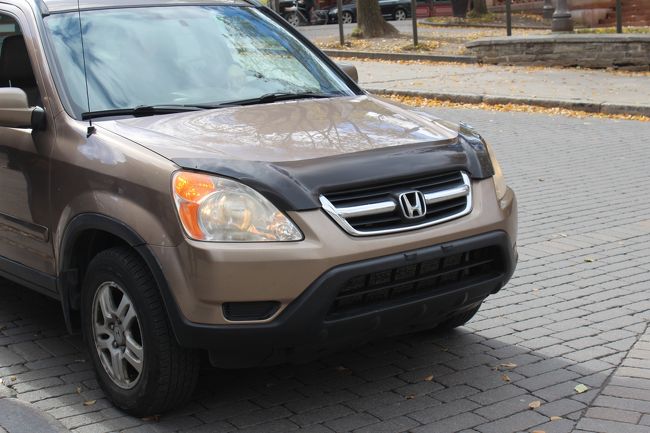 車にNOプレートが付いていません？<br /><br />安心してください！後ろについています。<br /><br />ケベック州ではNOプレートを見たければ後ろを見ればよいということだそうです。