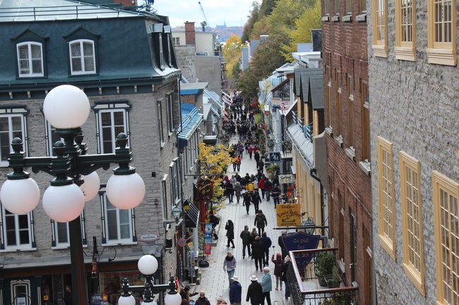 この下の方へ降りると沢山の店が並んでいるそうです。