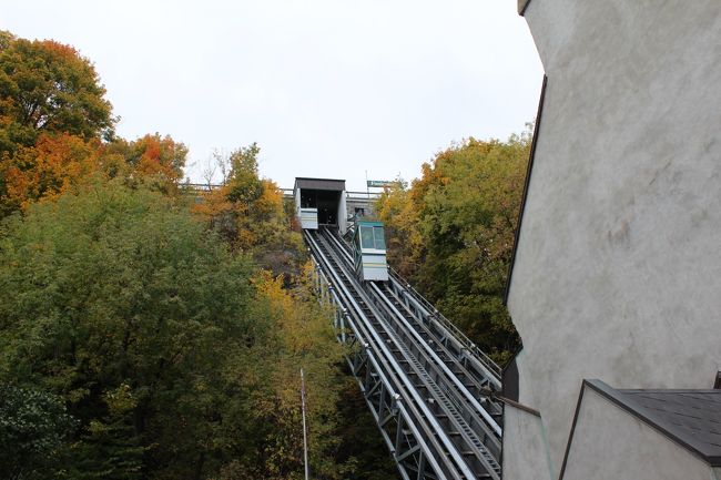 先ほどの会談が嫌な人は、リフトもあります。<br /><br />ただしほんの少しの距離の割合に値段が高かったと思いましたが！<br /><br />これからは、フリータイム組とOPツアー組に分かれます。