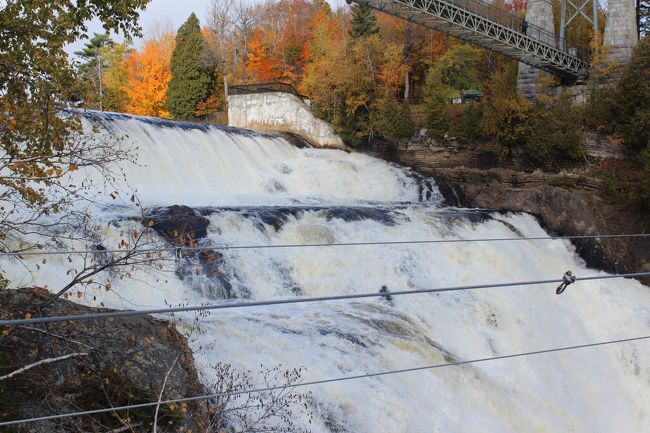近くで見ると・・・・・