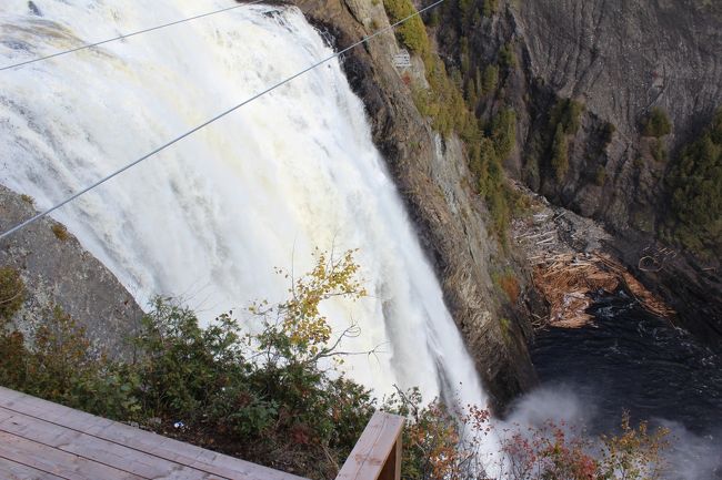 真上から見てみます。