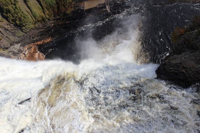 本当の真上からの眺め。