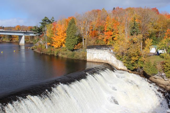 紅葉が映えています。