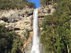 このコントラスト！