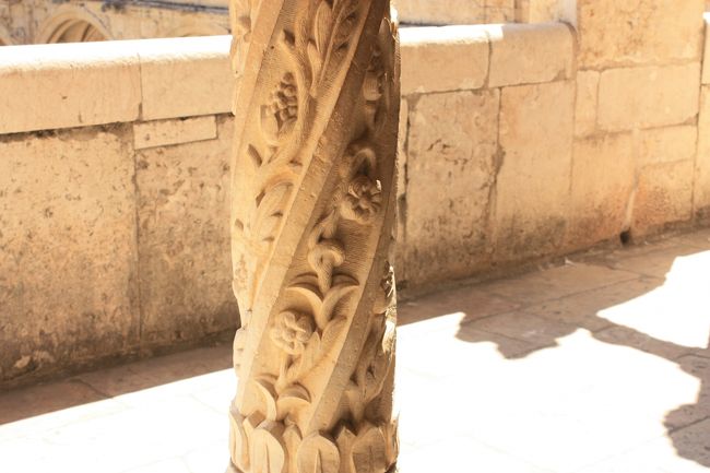 これは植物っぽい。