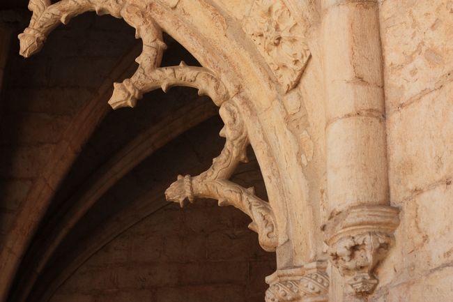 薔薇の蕾っぽいけど何かはわからない…（笑）